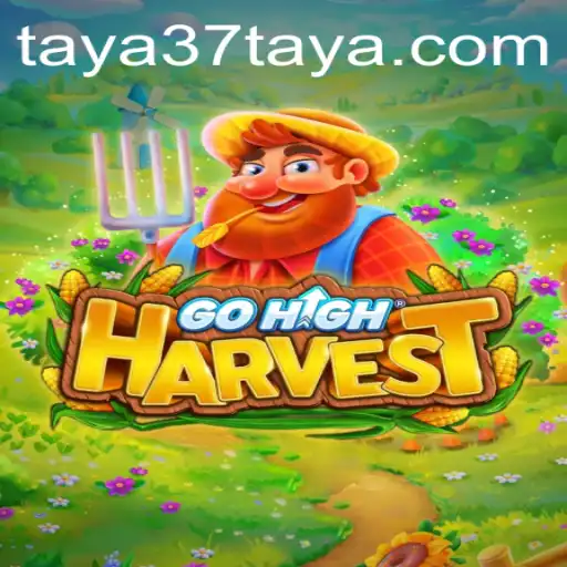 TAYA37 Casino App